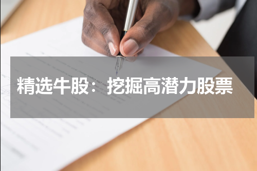  精选牛股：挖掘高潜力股票