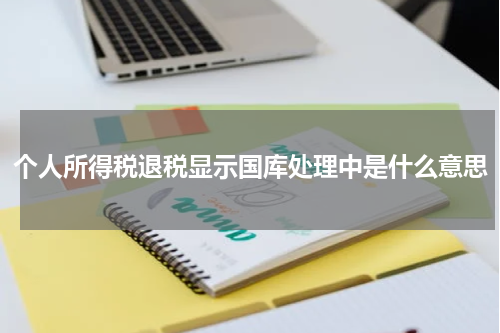 个人所得税退税显示国库处理中是什么意思