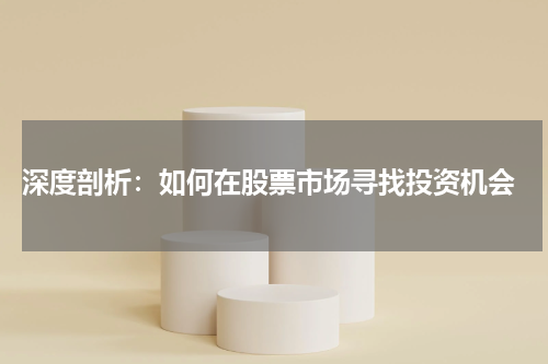  深度剖析：如何在股票市场寻找投资机会