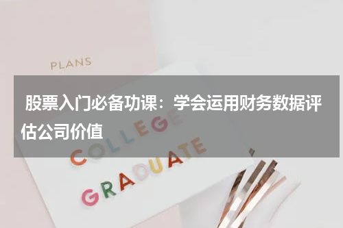  股票入门必备功课：学会运用财务数据评估公司价值