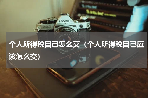 个人所得税自己怎么交（个人所得税自己应该怎么交）
