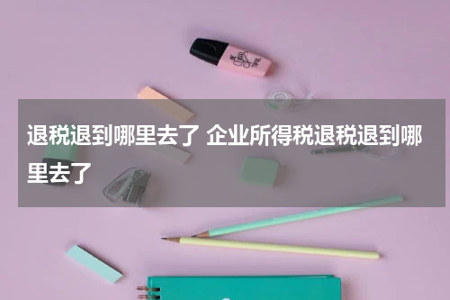 退税退到哪里去了 企业所得税退税退到哪里去了