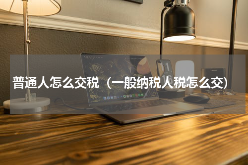 普通人怎么交税（一般纳税人税怎么交）