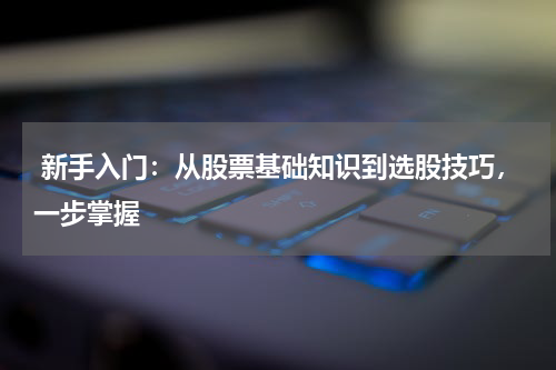  新手入门：从股票基础知识到选股技巧，一步掌握