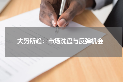  大势所趋：市场洗盘与反弹机会