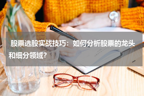  股票选股实战技巧：如何分析股票的龙头和细分领域？