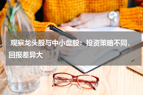  观察龙头股与中小盘股：投资策略不同，回报差异大