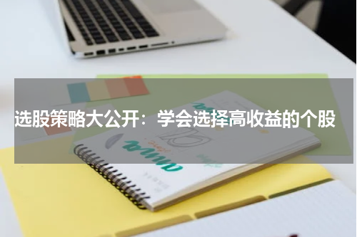  选股策略大公开：学会选择高收益的个股
