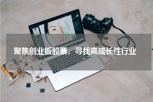  聚焦创业板股票，寻找高成长性行业