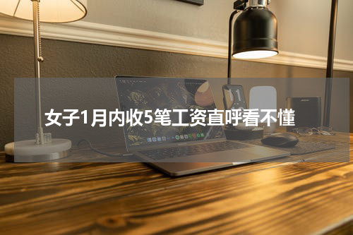 女子1月内收5笔工资直呼看不懂