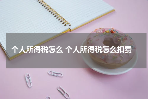 个人所得税怎么 个人所得税怎么扣费