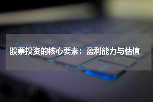  股票投资的核心要素：盈利能力与估值
