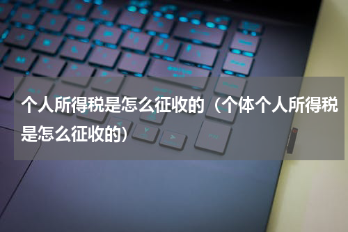 个人所得税是怎么征收的（个体个人所得税是怎么征收的）