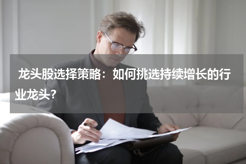  龙头股选择策略：如何挑选持续增长的行业龙头？