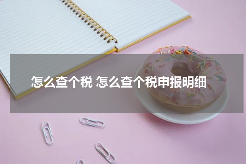 怎么查个税 怎么查个税申报明细