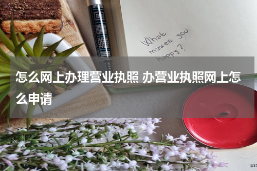 怎么网上办理营业执照 办营业执照网上怎么申请