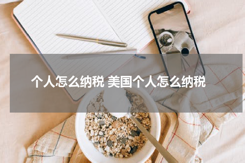 个人怎么纳税 美国个人怎么纳税