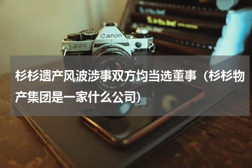 杉杉遗产风波涉事双方均当选董事（杉杉物产集团是一家什么公司）