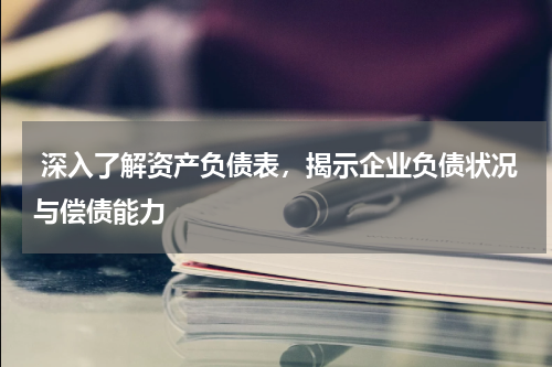  深入了解资产负债表，揭示企业负债状况与偿债能力