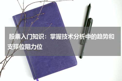  股票入门知识：掌握技术分析中的趋势和支撑位阻力位