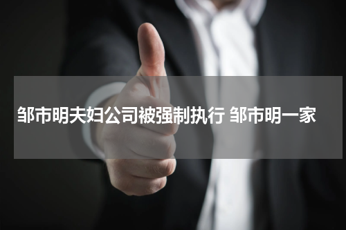 邹市明夫妇公司被强制执行 邹市明一家