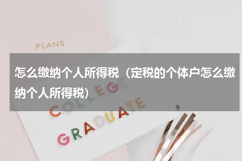 怎么缴纳个人所得税（定税的个体户怎么缴纳个人所得税）