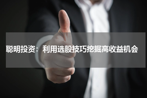  聪明投资：利用选股技巧挖掘高收益机会
