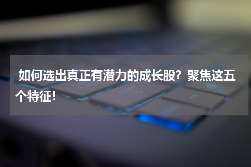  如何选出真正有潜力的成长股？聚焦这五个特征！