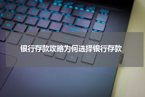  银行存款攻略为何选择银行存款