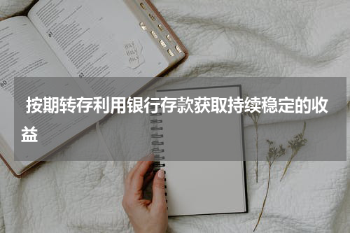  按期转存利用银行存款获取持续稳定的收益