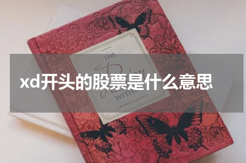 如何利用XD开头的股票赚取更多的投资回报？
