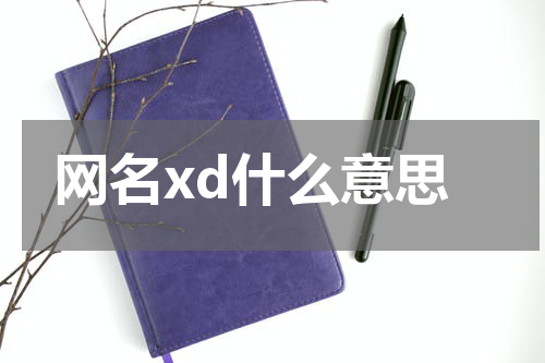 笑个不停——在网络世界揭秘"xd"的"笑力