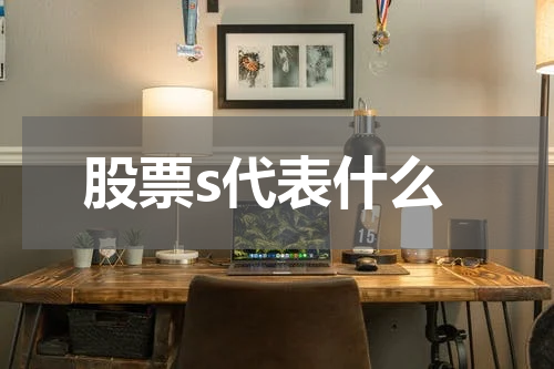 股票s代表什么 衡量股票投资风险和回报的利器
