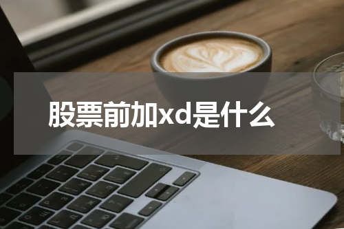 股票前加xd是什么