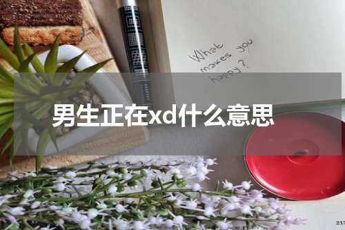 男生正在XD的含义与应用