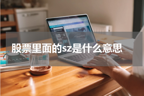 股票里面的sz是什么意思 深交所的魅力所在，投资者不容错过的机会
