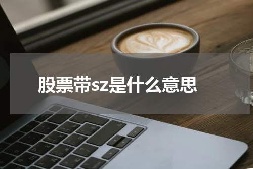 揭秘“SZ”背后的股票含义