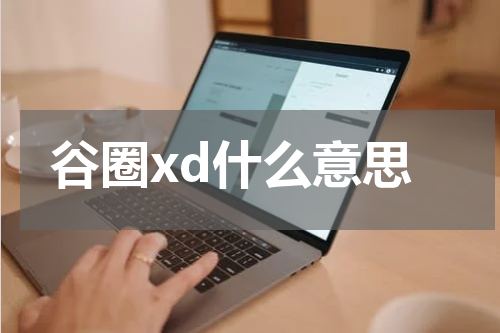 谷圈XD解密：探索虚拟社交平台的未来