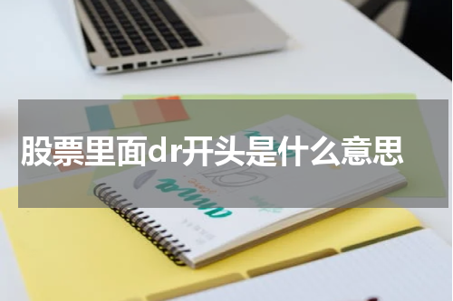 股票中以DR开头的股票意味着什么？