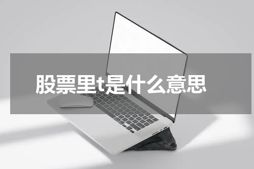 揭秘股票市场里的"t"代表的是什么？
