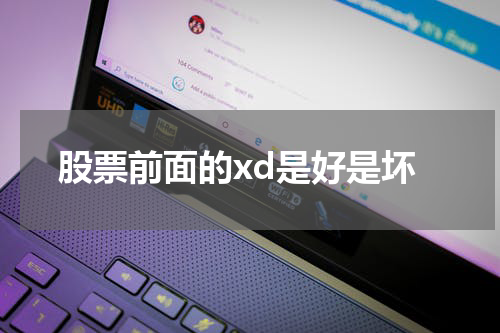 股票前景展望：你应该如何评估xd？