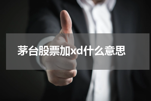 茅台股票和可转债Xd的投资意义