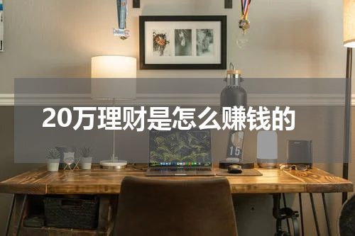 20万理财是怎么赚钱的
