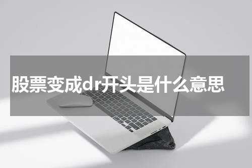 DR股票代码的解析及应用领域探索