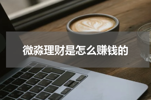 微淼理财是怎么赚钱的