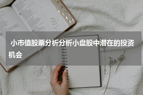  小市值股票分析分析小盘股中潜在的投资机会