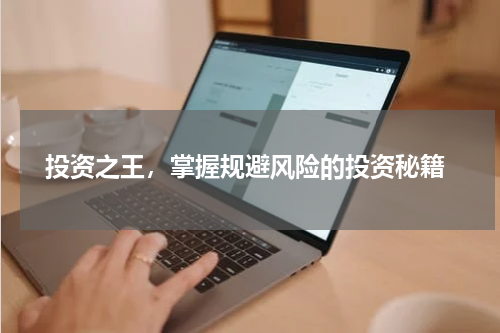  投资之王，掌握规避风险的投资秘籍