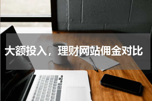  大额投入，理财网站佣金对比