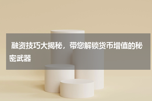  融资技巧大揭秘，带您解锁货币增值的秘密武器