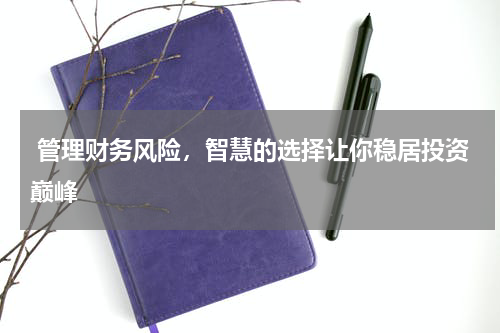  管理财务风险，智慧的选择让你稳居投资巅峰